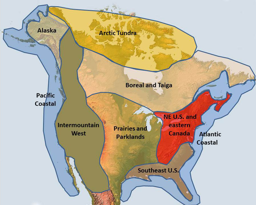 North American map displaying geographic regions