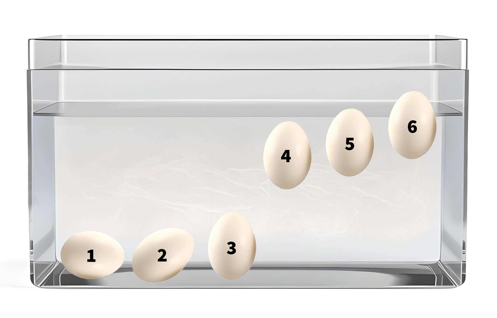 Egg float test diagram showing the position of eggs for different days of incubation